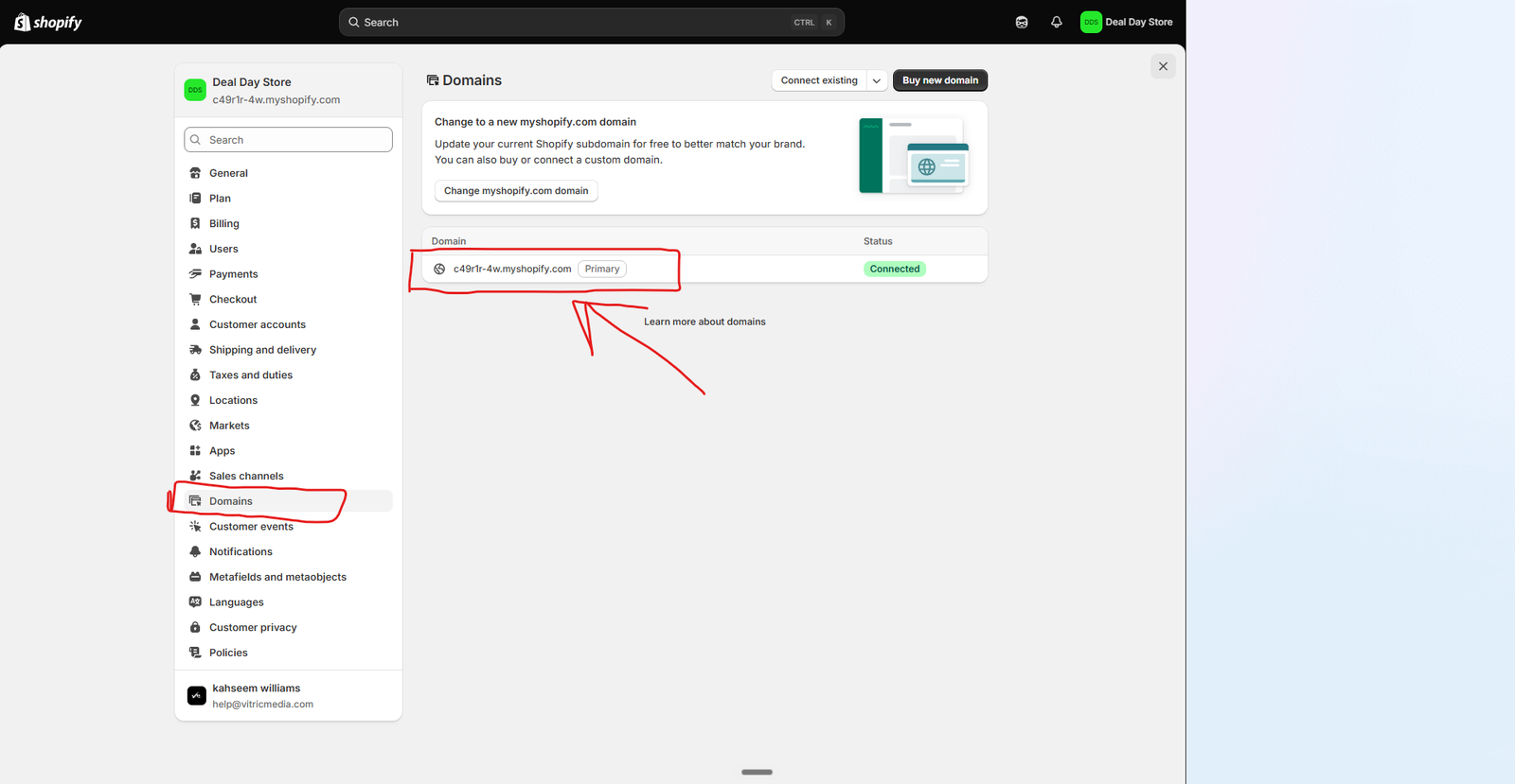 Shopify Settings sidebar with Domains highlighted
